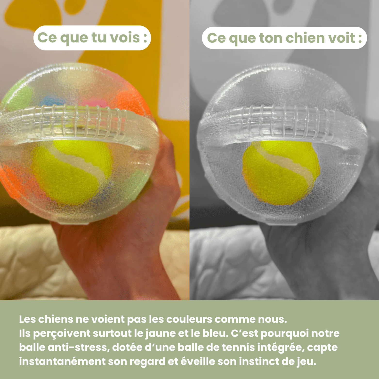 DogPlay - Balle anti-stress