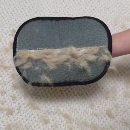 Gant Anti-Poils Réutilisable & Écologique